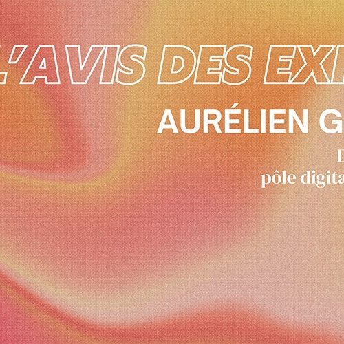 Avis des expert Aurélien Giorgino
